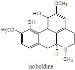 isoboldine.jpg